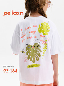 01.06 Pelican �������� ��� ������� GFT3390/1 �����