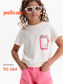 01.06 Pelican �������� ��� ������� GFT3388/2 ��������