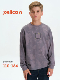 01.06 Pelican ������� ��� ��������� BFJ3377 �����