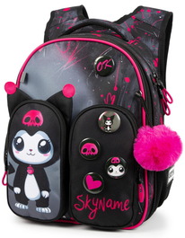 08.07 SkyName ������ SkyName R9-16 + ������ ����� + ������ R9-16