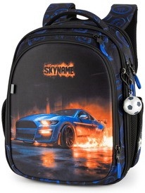 08.07 SkyName ������ SkyName RK-619 + ������ ����� RK-619