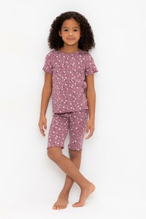 03.07 Crockid ������ ��� � 1632/������ �������,��������� �����