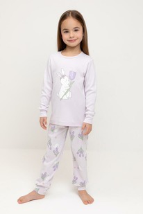 03.07 Crockid ������ �/��� �� � 1541/������ ������,������� � ��������