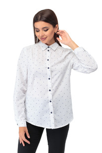 ������� ANELLI 738 ����� � ����� �������