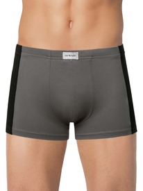 30.09 DiWaRi ����� DIWARI BASIC MEN MSH 3119 ����� ������� 23�-2756��� dark grey