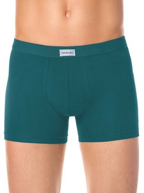 30.09 DiWaRi ����� ������� DIWARI BASIC SHORTS 700 17�-341��� turquoise MSH 700 