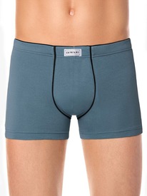 30.09 DiWaRi ����� ������� DIWARI PREMIUM SHORTS 760 17�-445��� grey blue MSH 76