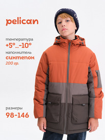 02.10 Pelican ������ ��� ���������