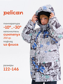 02.10 Pelican ������ ��� ���������