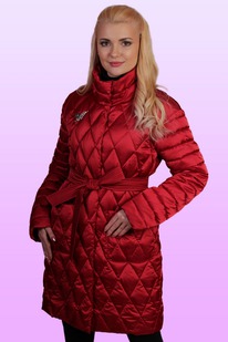 ������ ������� 433 ���� ���������