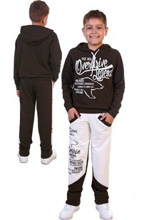 ������ ���������