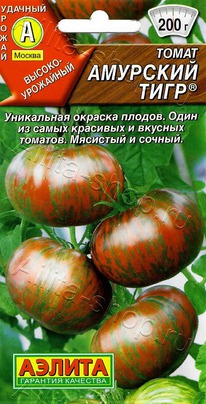 �������� ���� �����