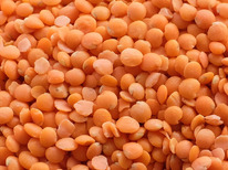 �������� ������� (���)