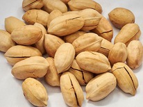 ���� �����