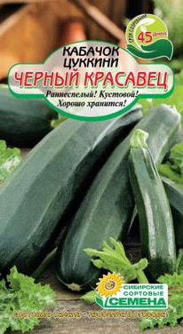 ������ �������� ������� �������