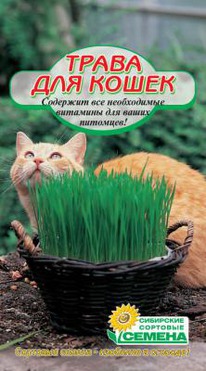 ����� ��� ����� 20�