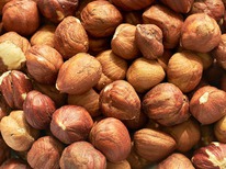 ���� ������� (���������)