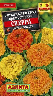 ������ ������������ ����� �������� (�)